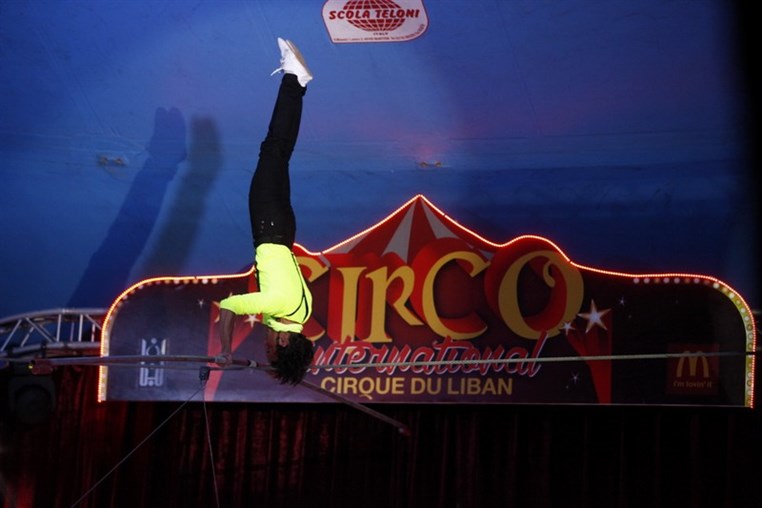 Circo International